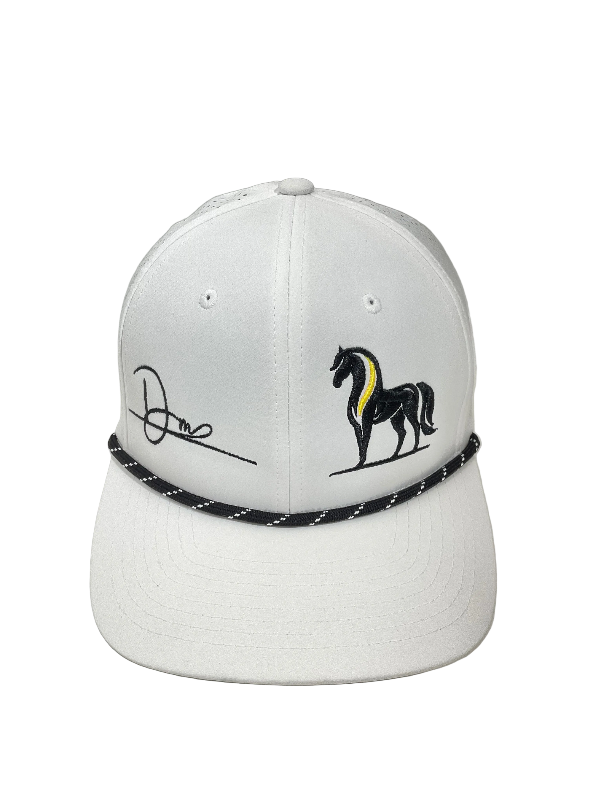 Caballo Dinastia