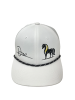 Caballo Dinastia